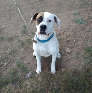 Meet your Posher, Jb